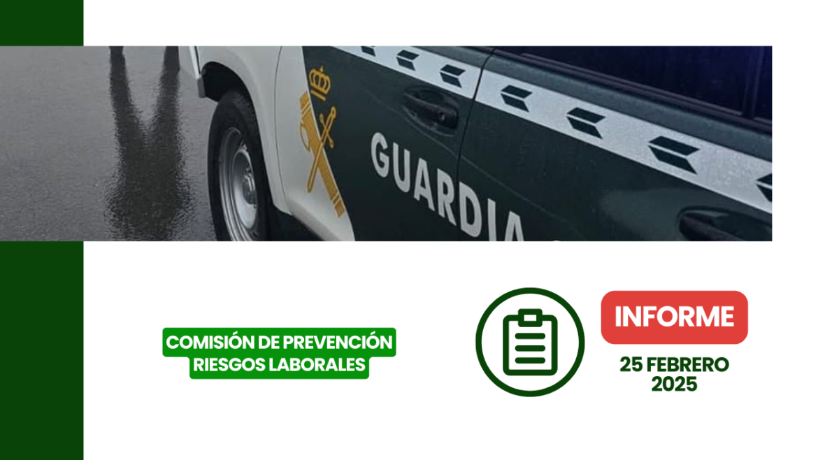 Documento oficial del informe de la Comisión de Prevención de Riesgos Laborales del 25 de febrero de 2025.