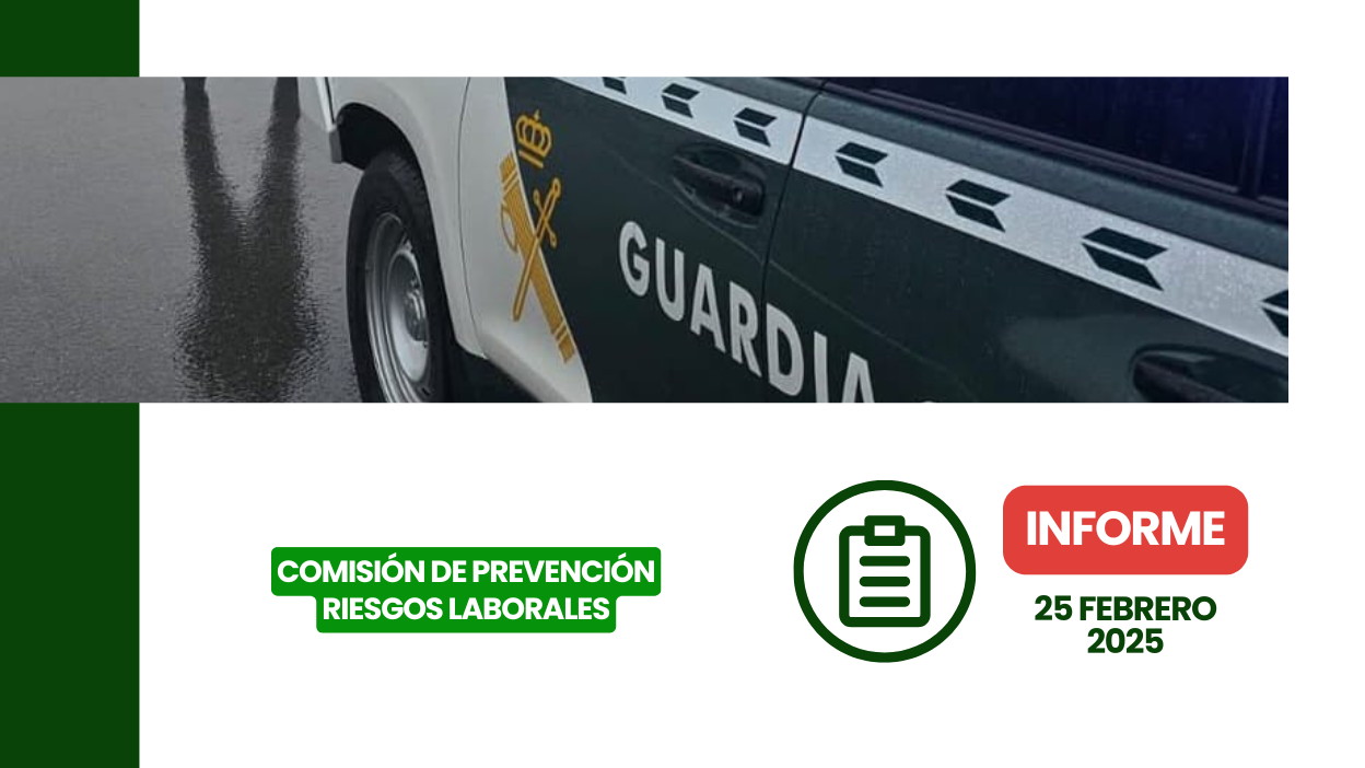 Documento oficial del informe de la Comisión de Prevención de Riesgos Laborales del 25 de febrero de 2025.