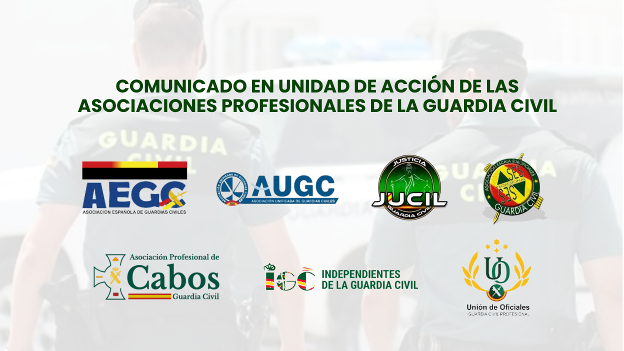 eunión del Consejo de la Guardia Civil donde las asociaciones profesionales reclaman mejoras en la jornada laboral y denuncian la pérdida de competencias.