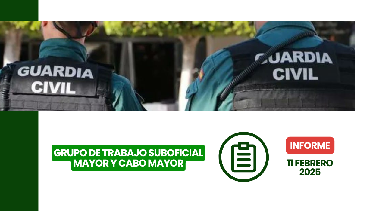 Sobre las funciones del Suboficial Mayor y Cabo Mayor presentado el 11 de febrero de 2025