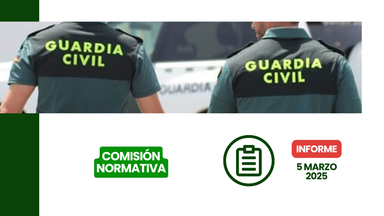 resumen de la Comisión Normativa y del Estatuto Profesional del Consejo de la Guardia Civil del 3 de mayo de 2025.