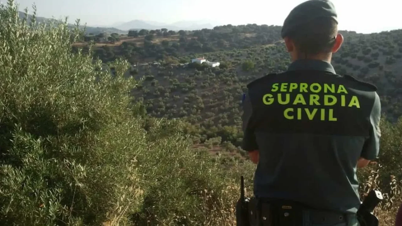 Reunión del Consell Comarcal de la Cerdanya donde se aprueba la moción para mantener a la Guardia Civil en Cataluña