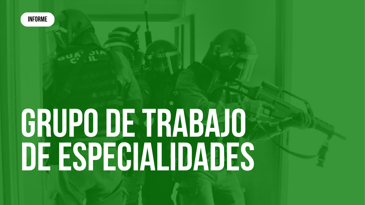 Reunión del Grupo de Trabajo de Especialidades de la Guardia Civil celebrada el 17 de junio de 2025